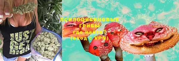 каннабис Бородино