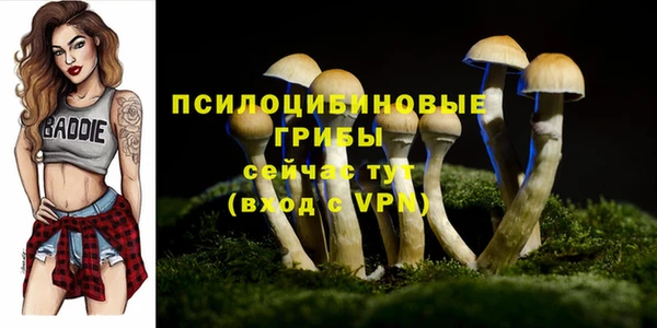 эйфоретик Бронницы