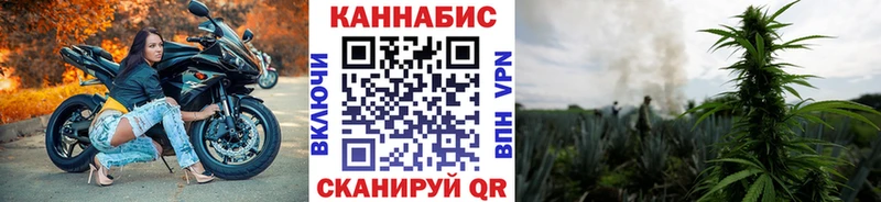 где купить   Красноярск  Бошки марихуана сатива 